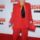 Image for article titled The Zohan Premiere: Starring Everyone You Kinda-Sorta Know, Looking Kinda-Sorta Good
